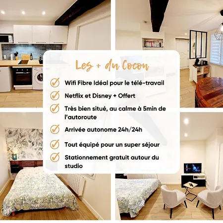 Apartamento Studio Cosy A Cailloux Proche Lyon & Nature *